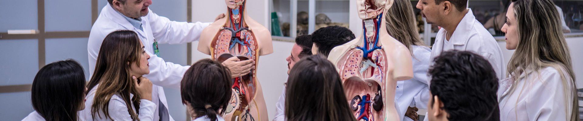 Acadêmicos de Medicina em volta de modelos anatômicos no laboratório de anatomia da FIMCA
